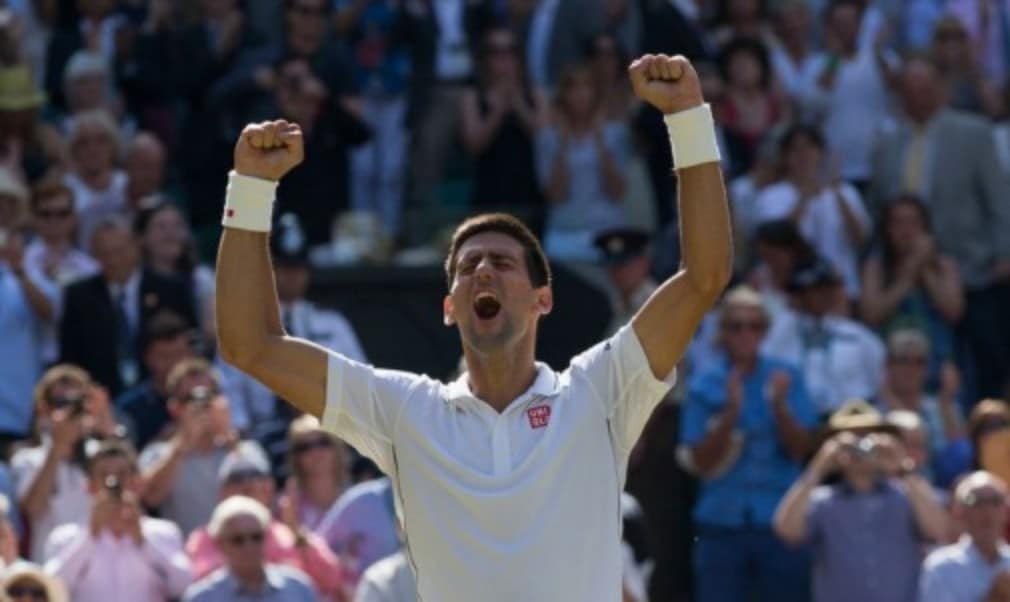 A rematch of the 2013 Wimbledon final is possible after Andy Murray was drawn in the opposite site of the draw to defending champion Novak Djokovic