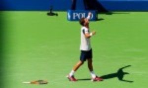 Pablo Carreno Busta is the first player through to the semi-finals of the US Open after a convincing 6-4 6-4 6-2 win over Diego Schwartzman