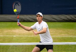 Andy Murray hits forehand volley on grass