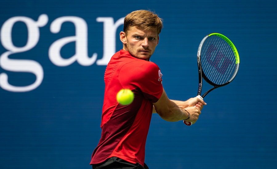 David Goffin backhand