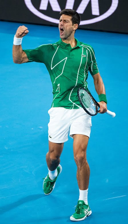 Novak Djokovic celebrates