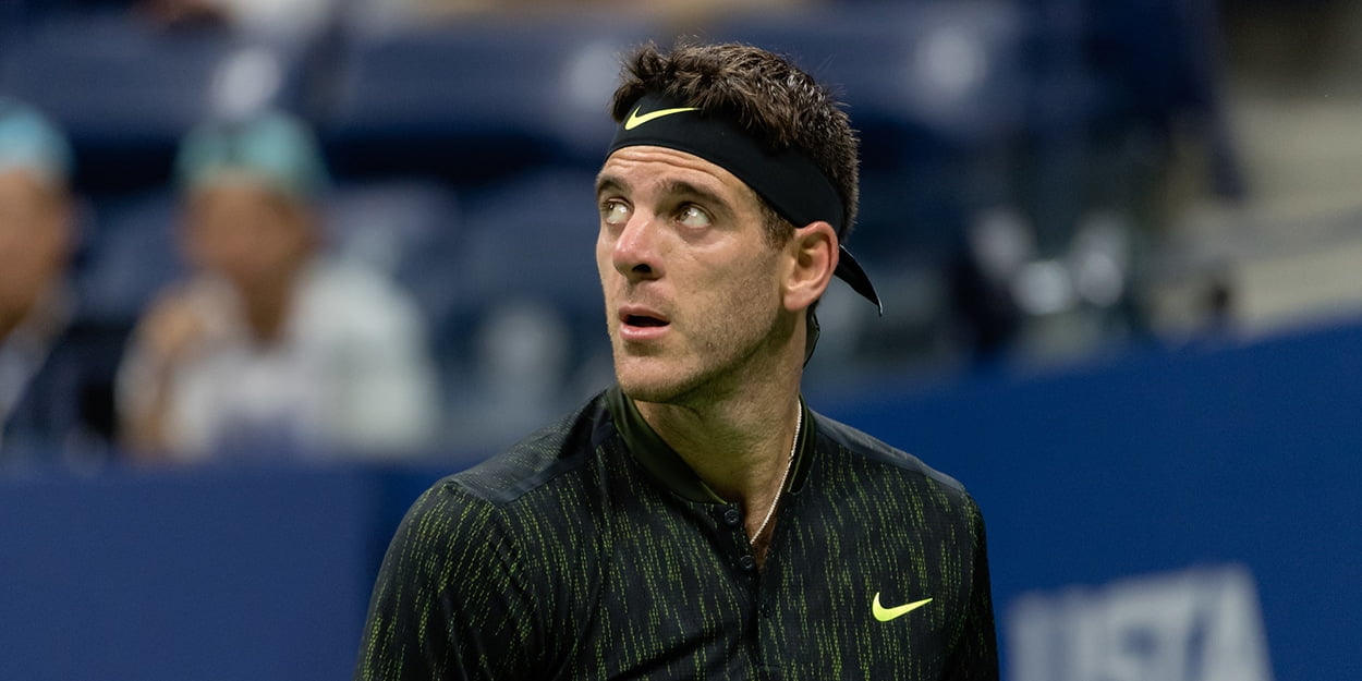 Juan Martin del Potro - Novak Djokovic backing