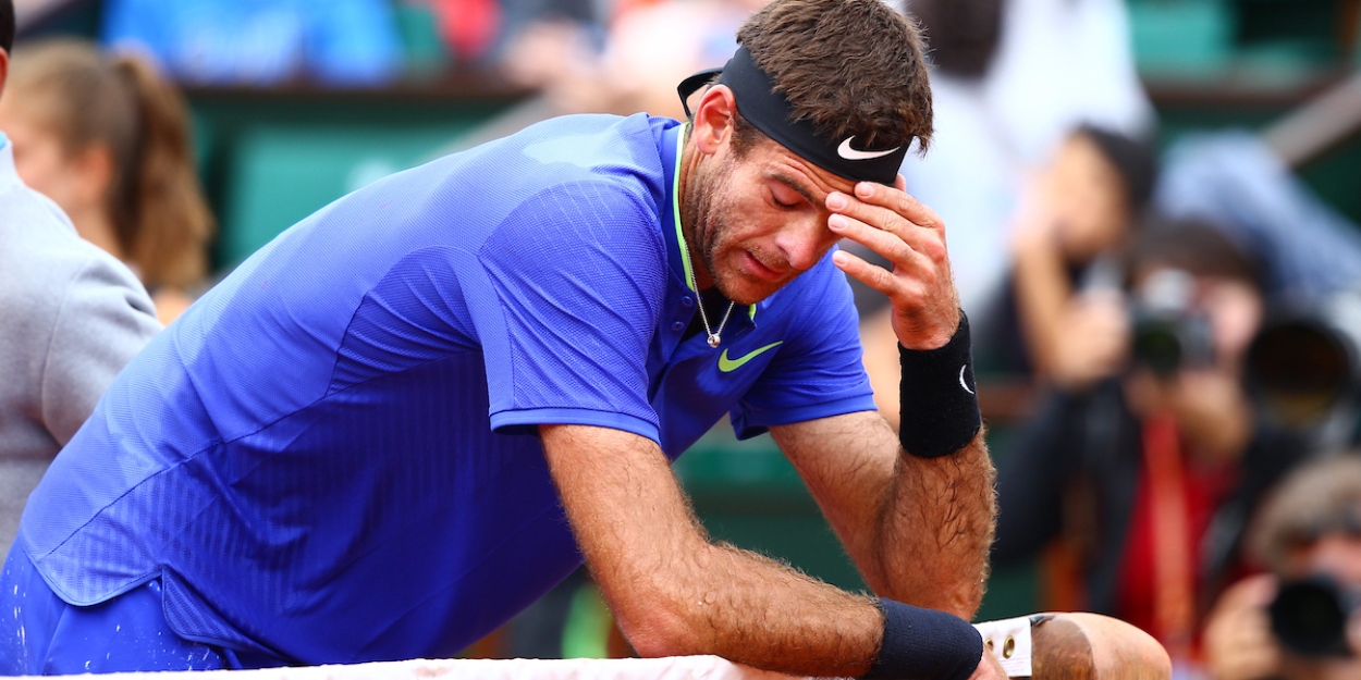 Juan Martin del Potro French Open 2017