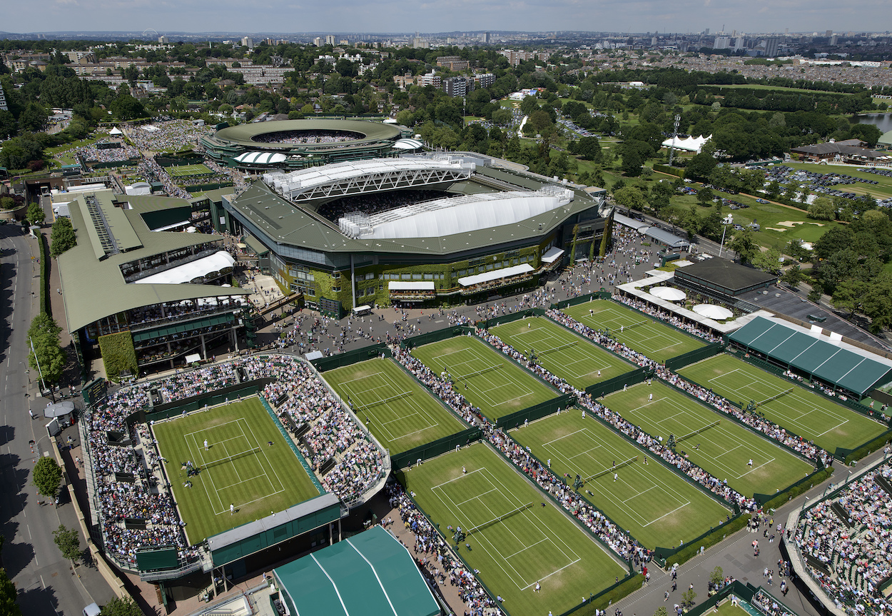 Wimbledon 2024 Mens Semi Final Lexie Opalina