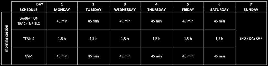 Half day tennis program Ljubicic Tennis Academy