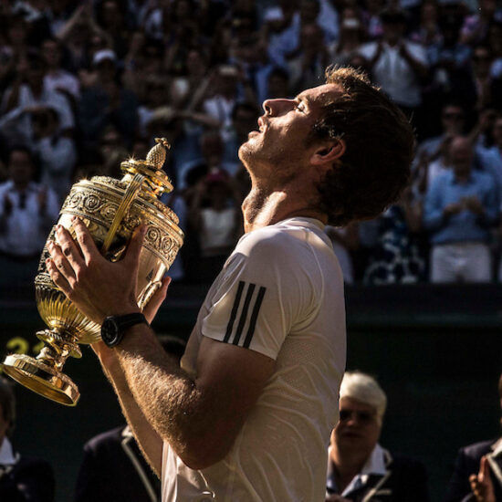 Andy Murray - Wimbledon 2013